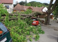 Kwikfynd Tree Cutting Services
mountwarrenpark